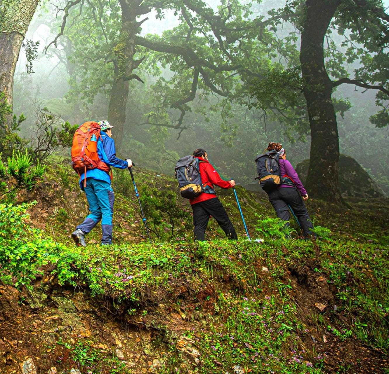 Discover Tabarka with Dar El Ain - Dar Ismail Hotel